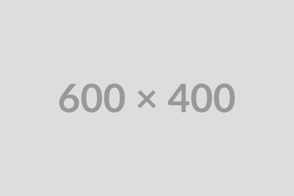 GDS Inventory Placeholder